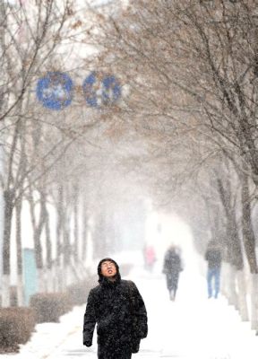 瀋陽什麼時候下雪：瀋陽的冬季是否總是比南方更冷?